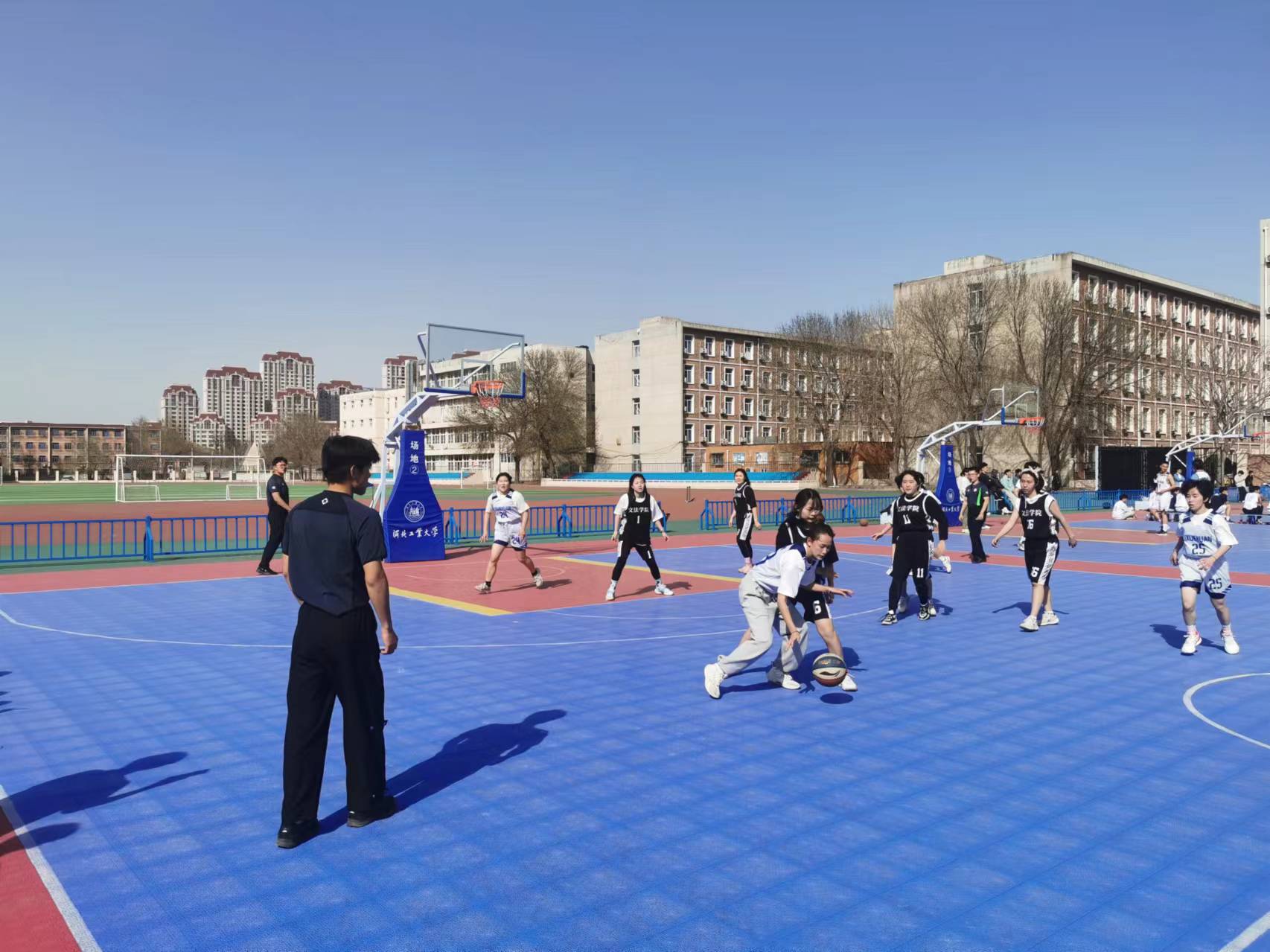 178体育手机版图片